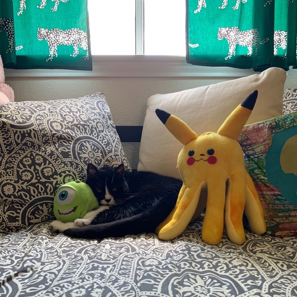 Meet your Posher, Stacey - Picture 3 of 3